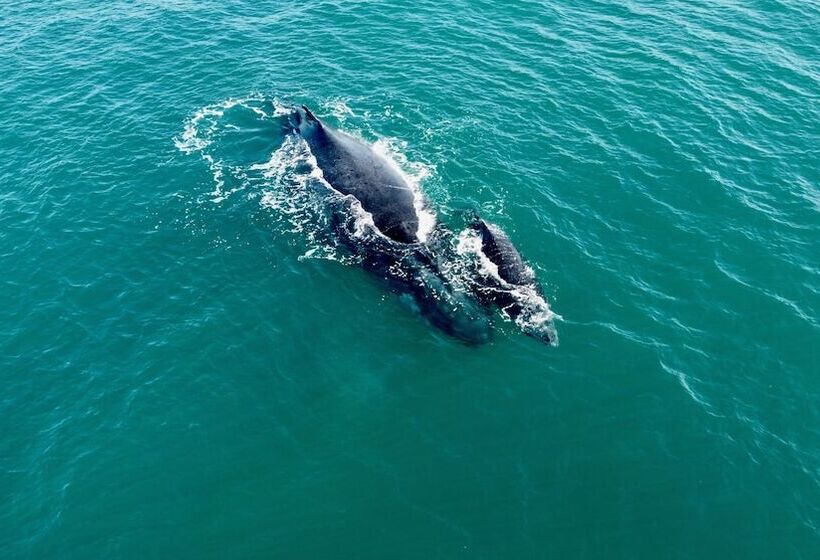 Отель Travessia Beach Lodge