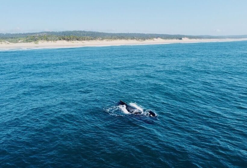 Отель Travessia Beach Lodge