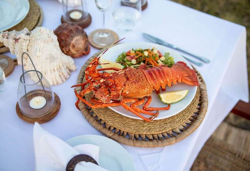 Отель Travessia Beach Lodge