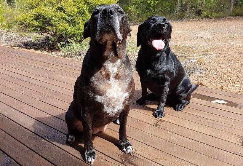 Jarrah Grove Forest Retreat   Adults Only