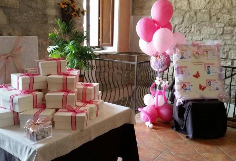 Le Coccole