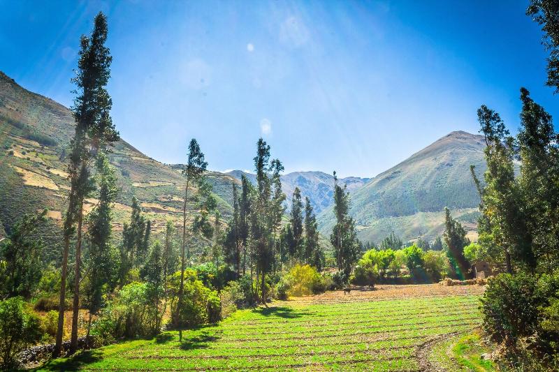 Life Hotel Valle Sagrado