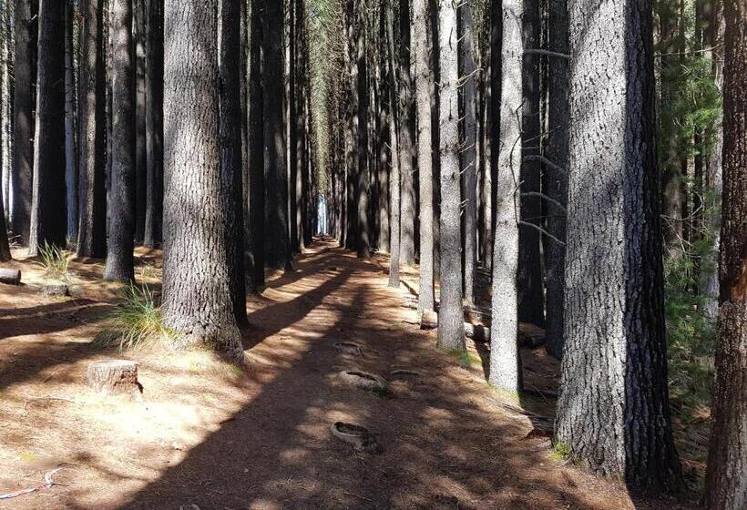 모텔 The Apple Inn