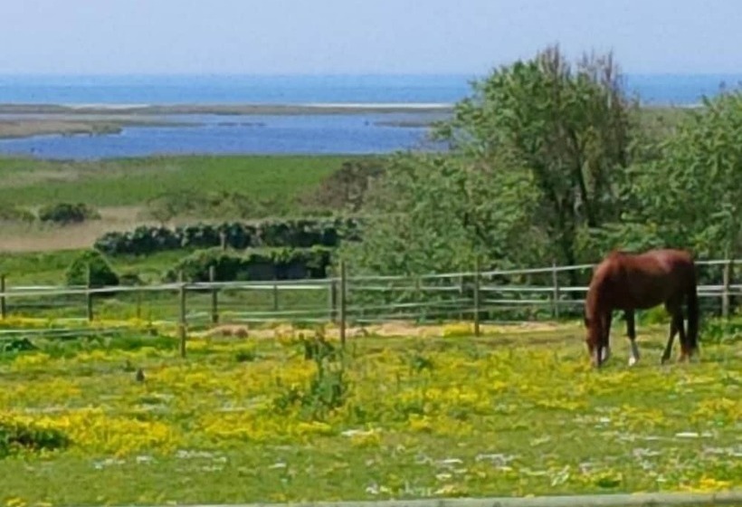 膳宿费 Belle Bretagne Guest House