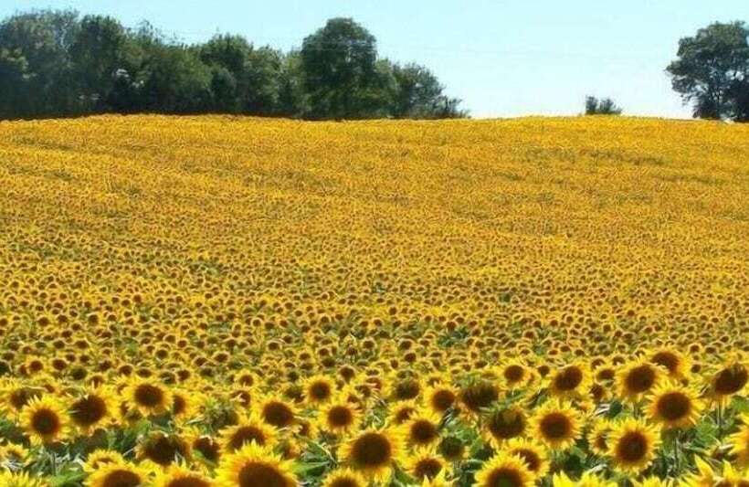 膳宿费 Chambre D Hôtes Le Moulin D Encor