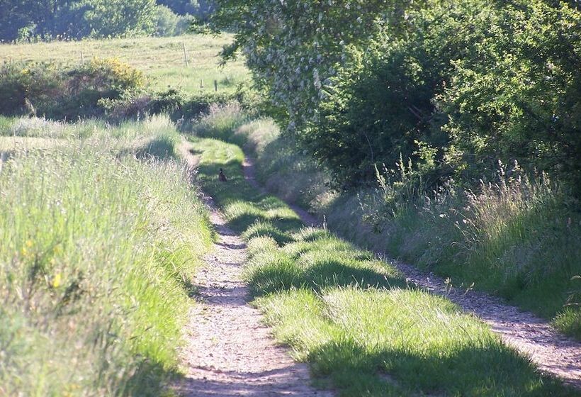 膳宿费 Chambre D Hôtes Le Moulin D Encor