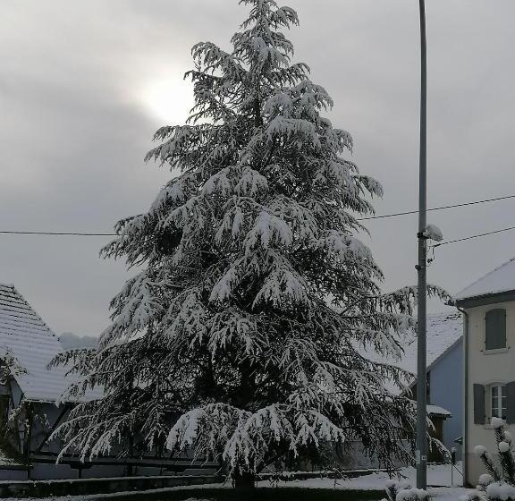膳宿费 Chambres D Hôtes Chez Loulou Et Caramel