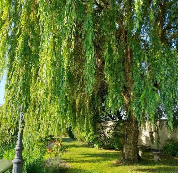 بنسيون Domaine De Lardoisière