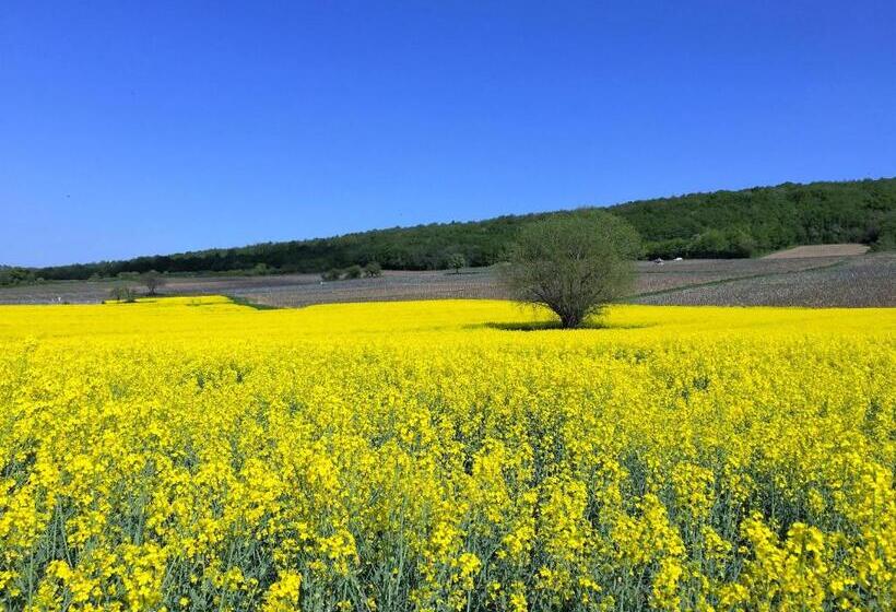Пансион Domaine Pont Juillet