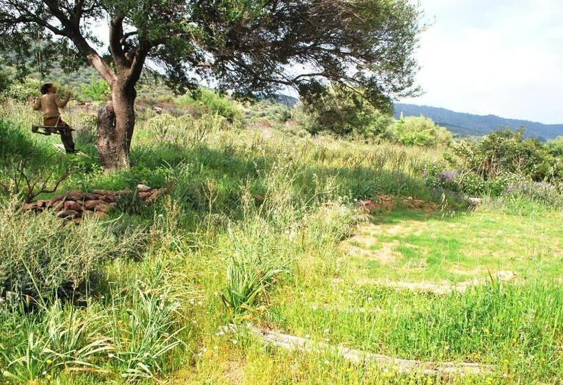 פנסיון Essenza Sardegna