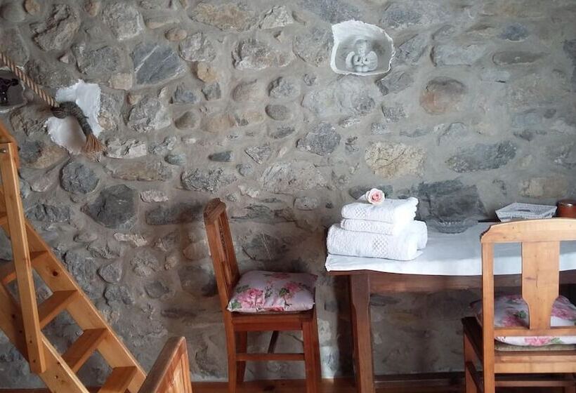 פנסיון L Envolée