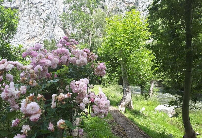 פנסיון L Envolée