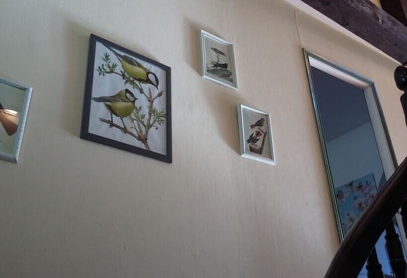 פנסיון L Envolée