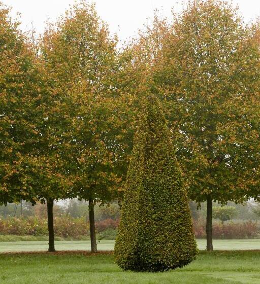 פנסיון La Borde