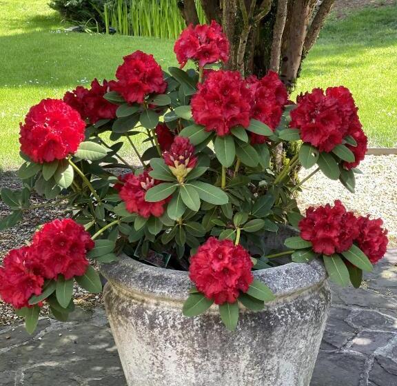 펜션 La Collinière