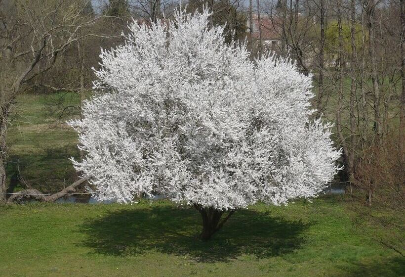 Пансион La Cuvellerie