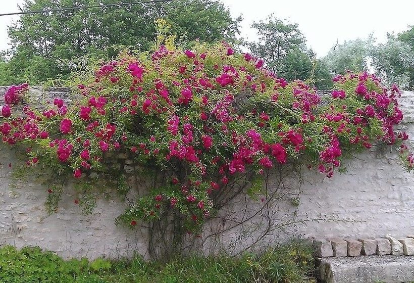 膳宿费 La Cuvellerie