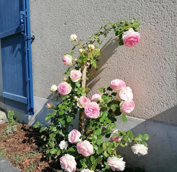 Пансион La Petite Boire Chambres D Hôtes Près D Angers