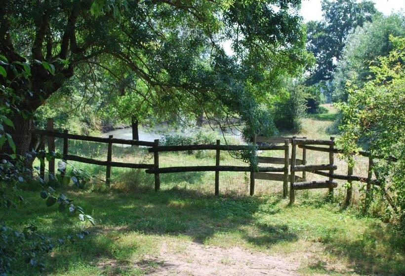 פנסיון La Petite Boire   Chambres D Hôtes Près D Angers
