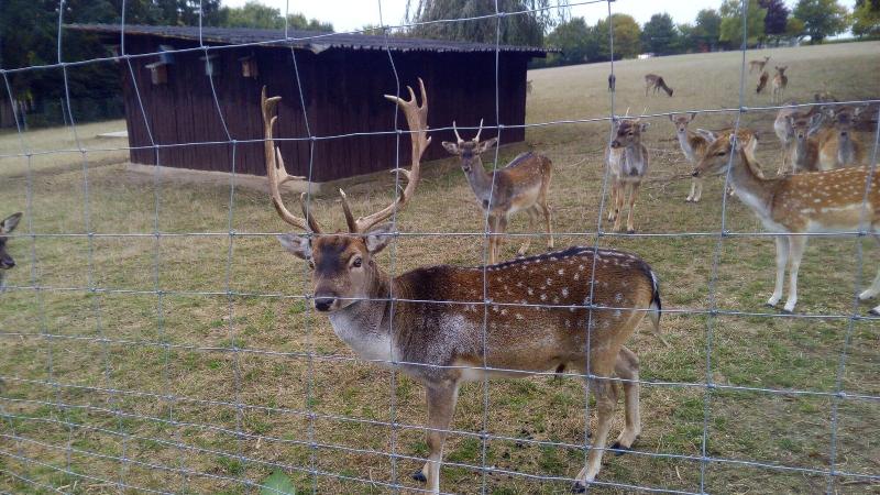 بنسيون Lena S Holiday Room