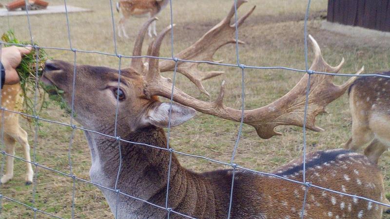 بنسيون Lena S Holiday Room