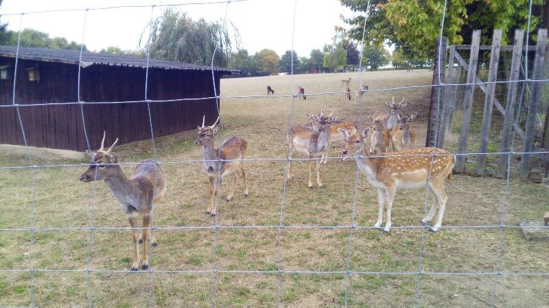 بنسيون Lena S Holiday Room