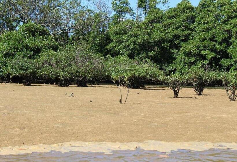 بنسيون Nature Miraikan