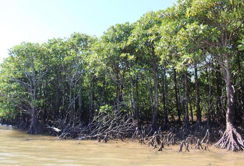 بنسيون Nature Miraikan