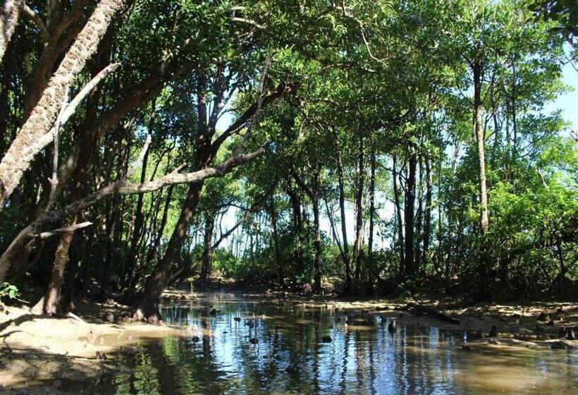 بنسيون Nature Miraikan