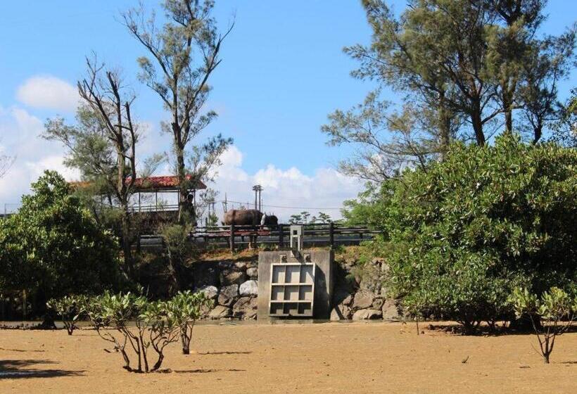 بنسيون Nature Miraikan