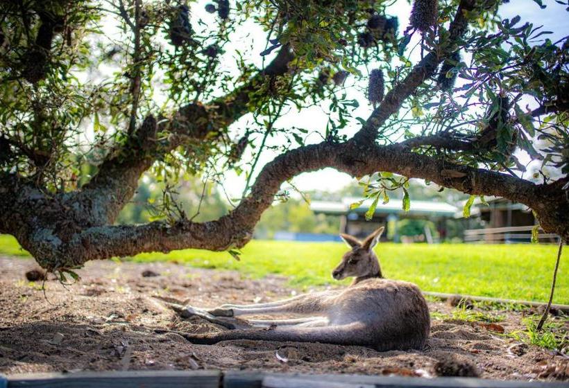 פנסיון Waterfall Springs Retreat & Wildlife Sanctuary