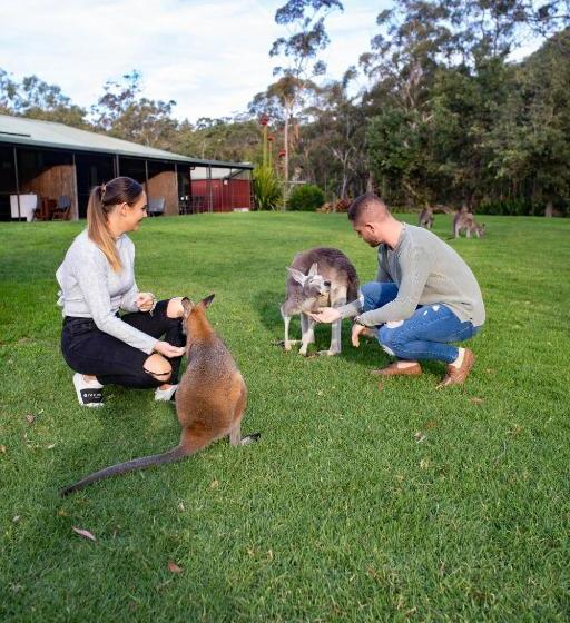 פנסיון Waterfall Springs Retreat & Wildlife Sanctuary