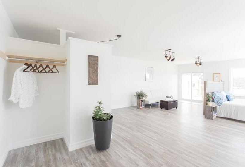 膳宿费 Whale House Guest House