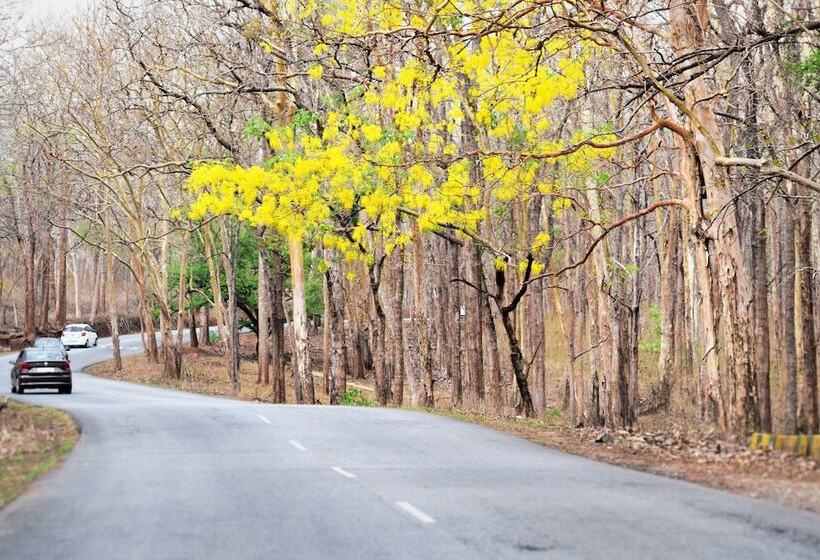 渡假胜地  3 Hills County