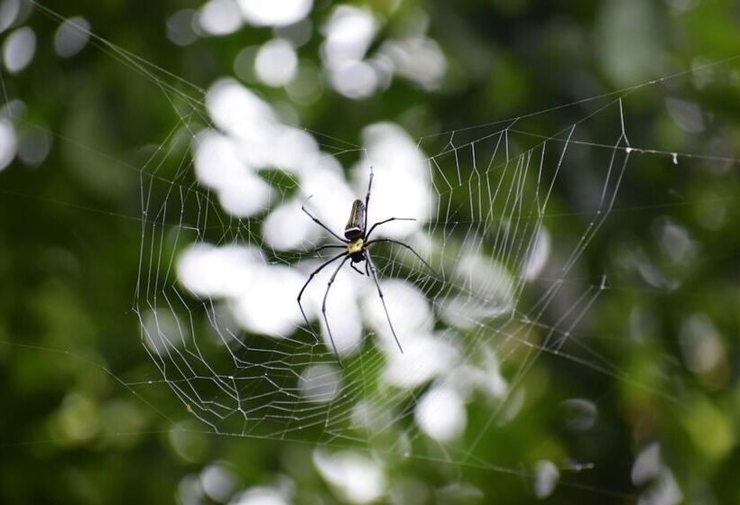 渡假胜地  3 Hills County