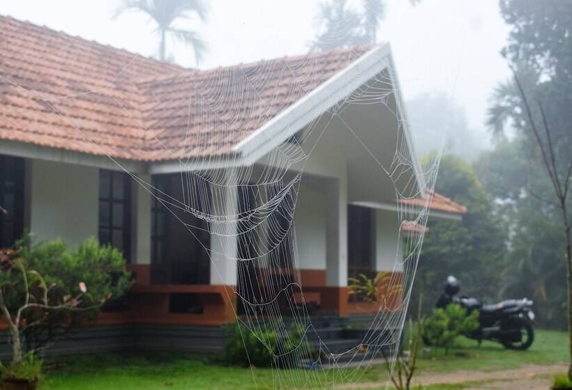 渡假胜地  3 Hills County