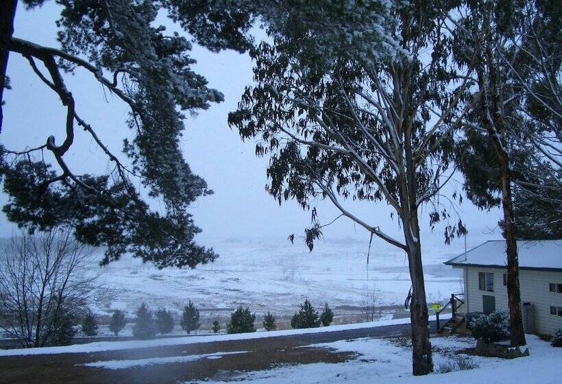 리조트 Rainbow Pines Tourist Caravan Park