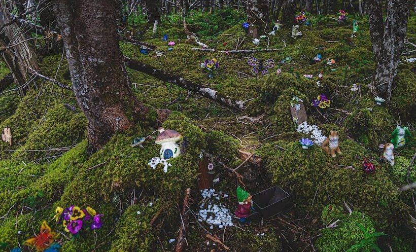 منتجع The Wilds At Salmonier River