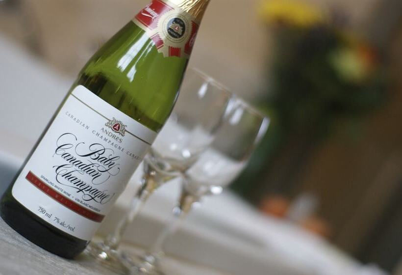 リゾートホテル The Wilds At Salmonier River