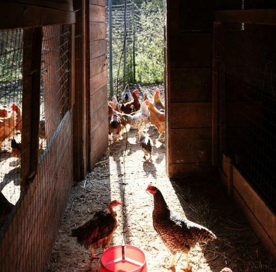 Agriturismo Borgo Titol