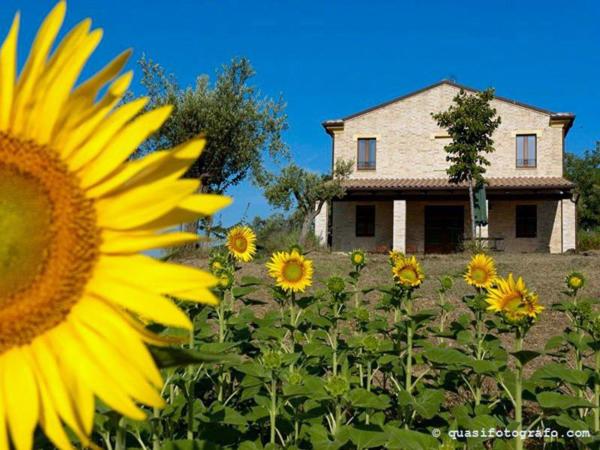 Agriturismo La Cicala