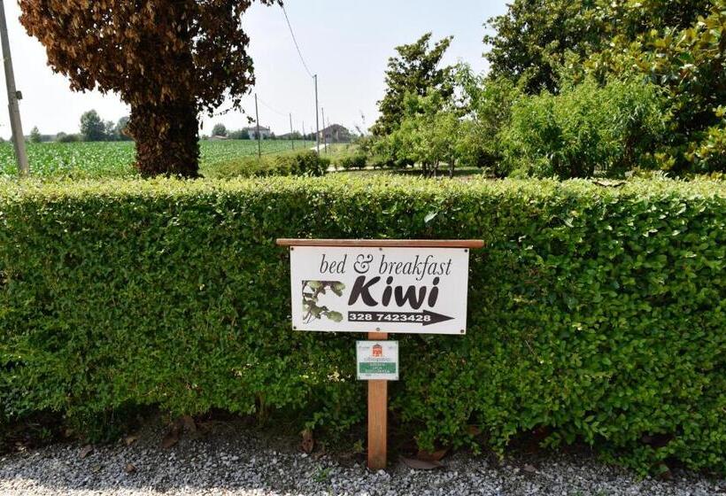 B&b Kiwi