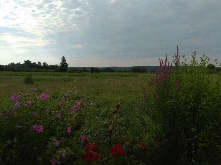 مبيت وإفطار Chambre D Hotes Les Alicantes