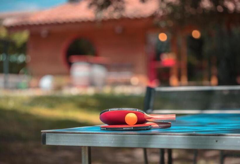 민박 Chambre D’hôtes Neptune Wood