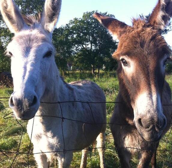 مبيت وإفطار Chambres D Hôtes Le Mont D Anon