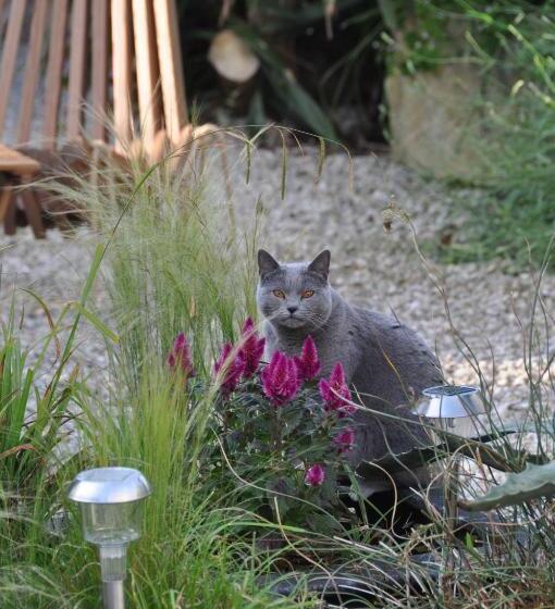 住宿加早餐 La Maison Du Baloir