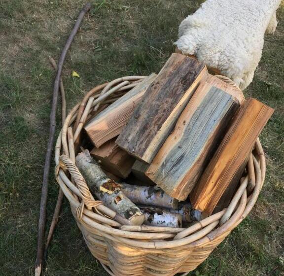 住宿加早餐 Landhof Liebsch, Mit Pool Und Sauna