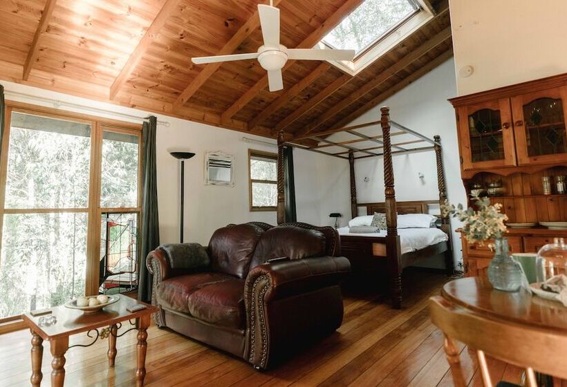 Bluegums Cabins Barrington Tops