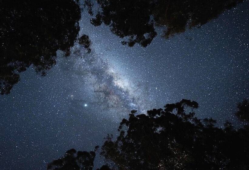 Bluegums Cabins Barrington Tops