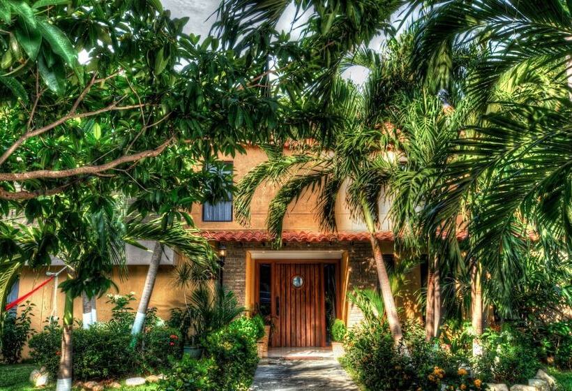 Casa Verano Beach Hotel   Adults Only